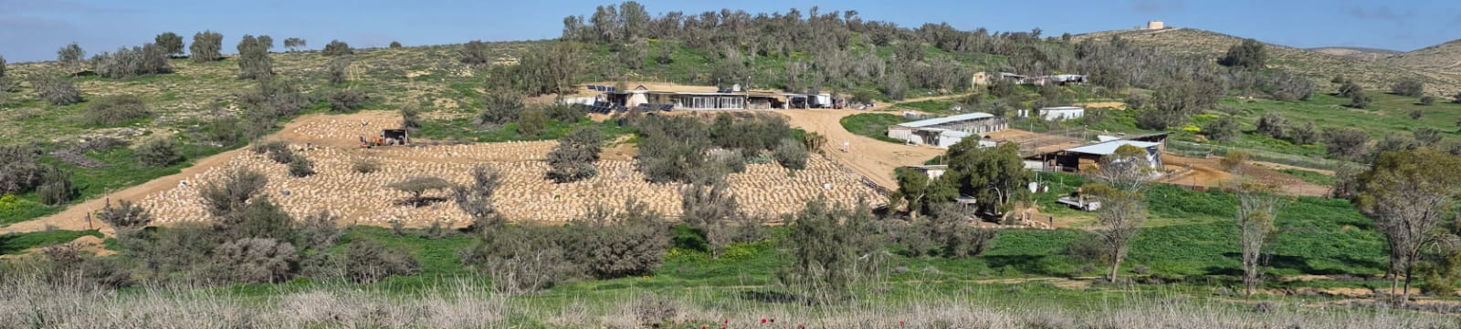חוות צאן יתיר- גולדוג - תמונה 1